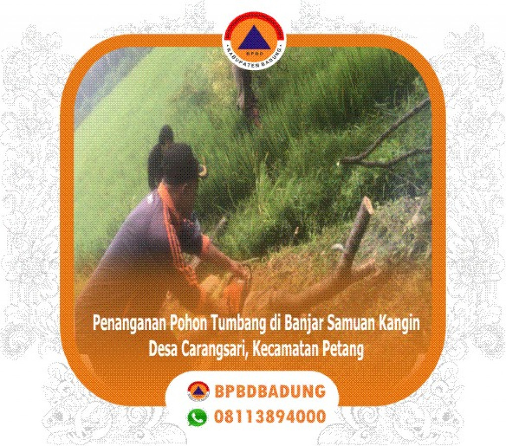 Pohon Tumbang di Banjar Samuan Kangin, Desa Carangsari, Kecamatan Petang Tanggal 08 Maret 2023